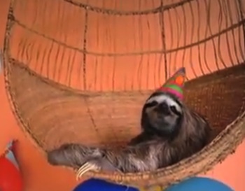 slothparty.jpg